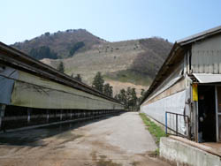 生産者